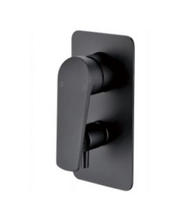 Shower Diverter Matte Black - Celsior